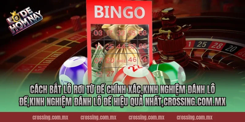 Cách bắt lô rơi từ đề chính xác,Kinh Nghiệm Đánh Lô Đề,Kinh nghiệm đánh lô đề hiệu quả nhất,lodehomnay.info