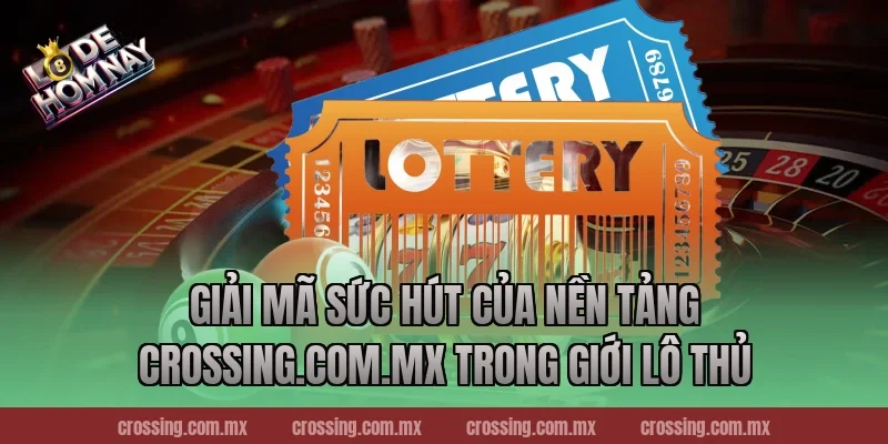 Giải mã sức hút của nền tảng lodehomnay.info trong giới lô thủ