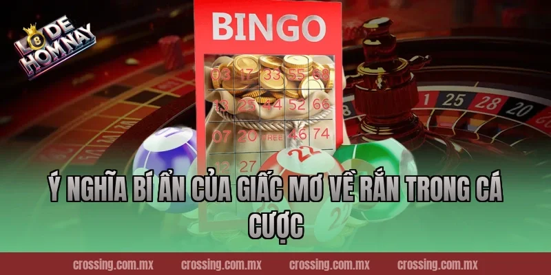 Ý Nghĩa Bí Ẩn Của Giấc Mơ Về Rắn Trong Cá Cược